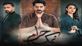 Namak Haram - Episode 24 - 19th April 2024